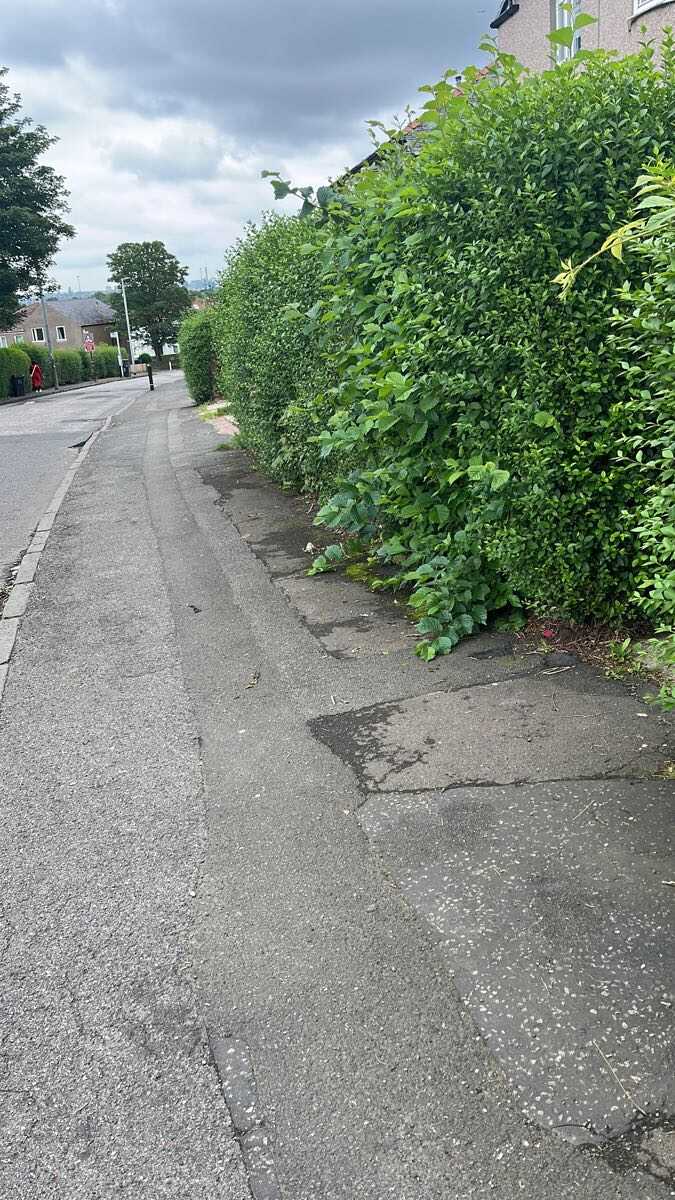 Before — Hedge overhanging the pavement cut right back