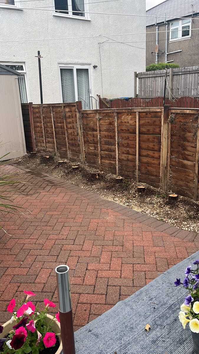 After — Old conifer hedge removed and the fence line cleared and tidied