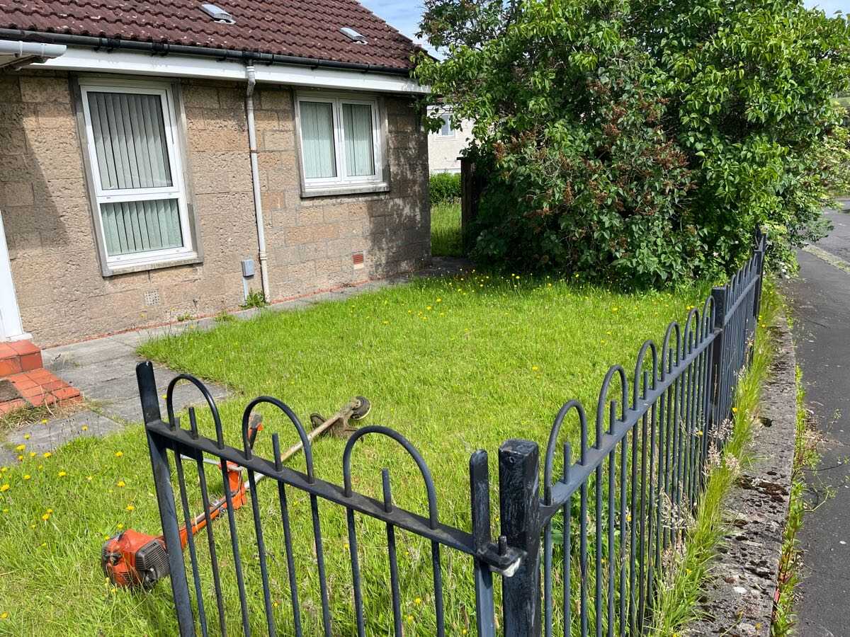 Overgrown front lawn cut back behind railings