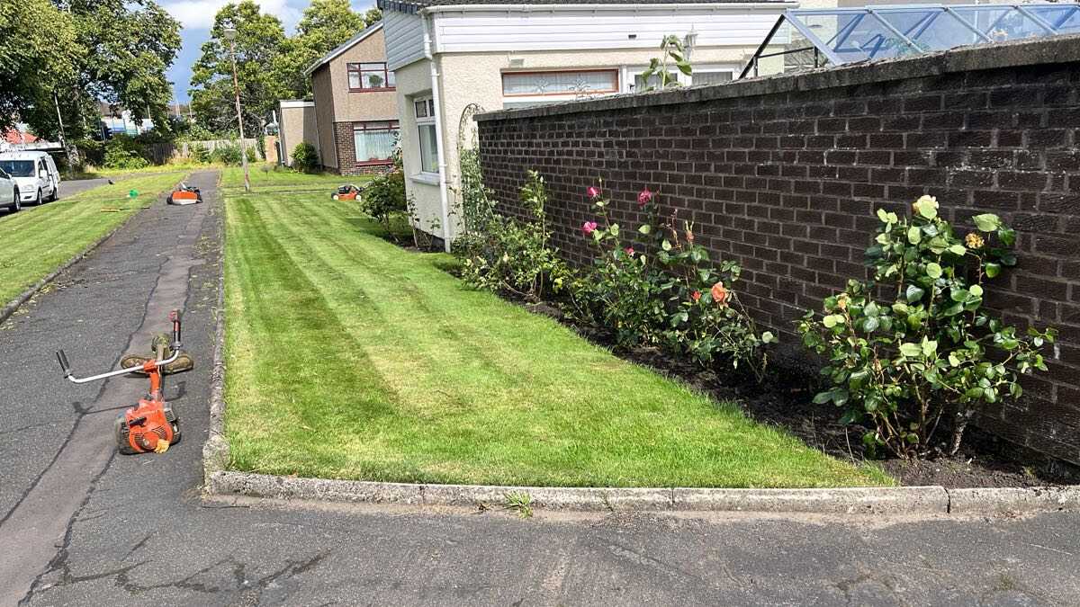 Grass verge cut with rose border edged